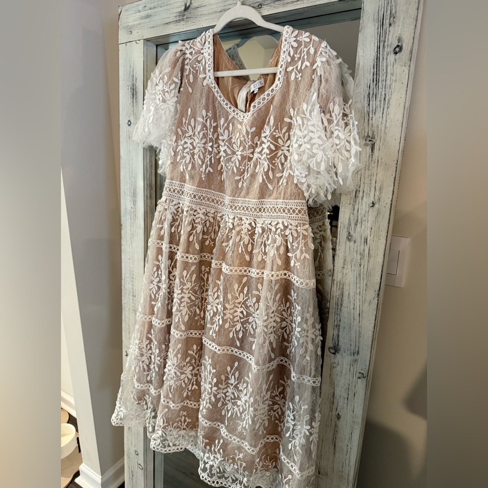Ivy City Co Venice Dress in Champagne